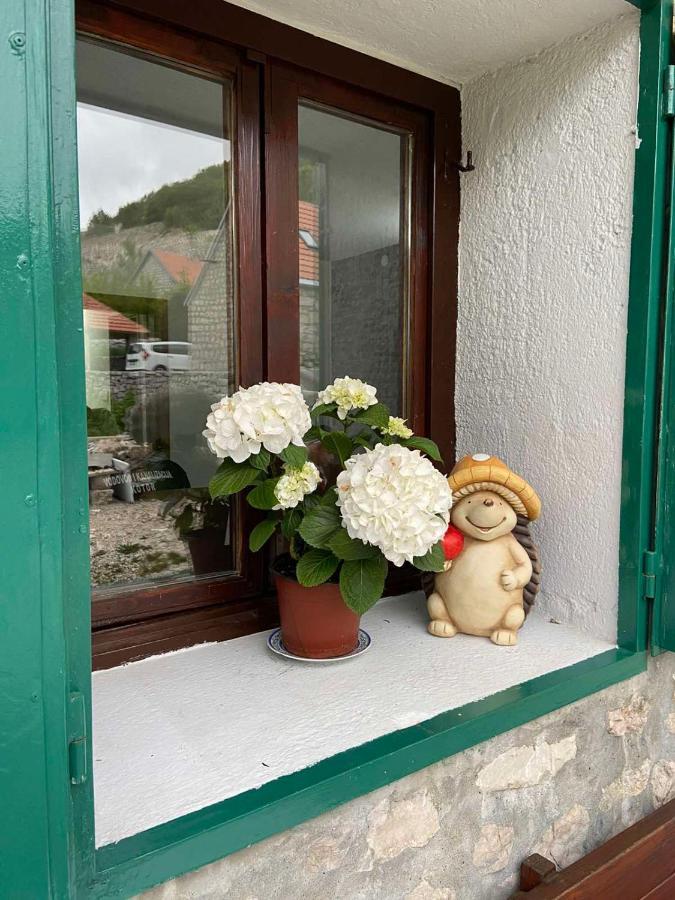 Guest House Markovic Lovcen Цетине Екстериор снимка