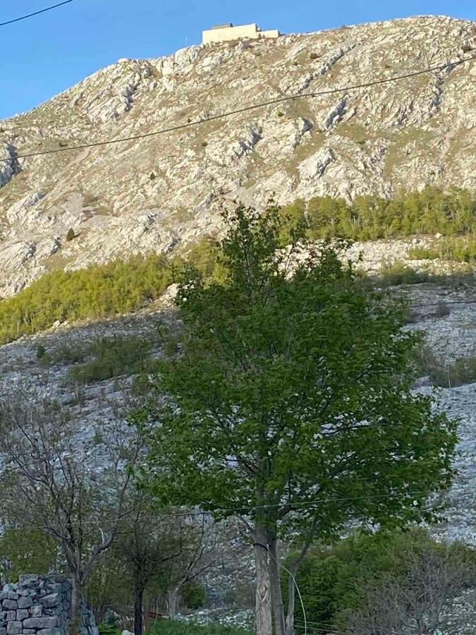 Guest House Markovic Lovcen Цетине Екстериор снимка